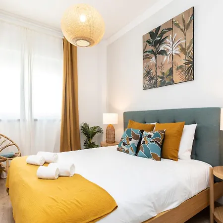 Akisol Rocha Blissful